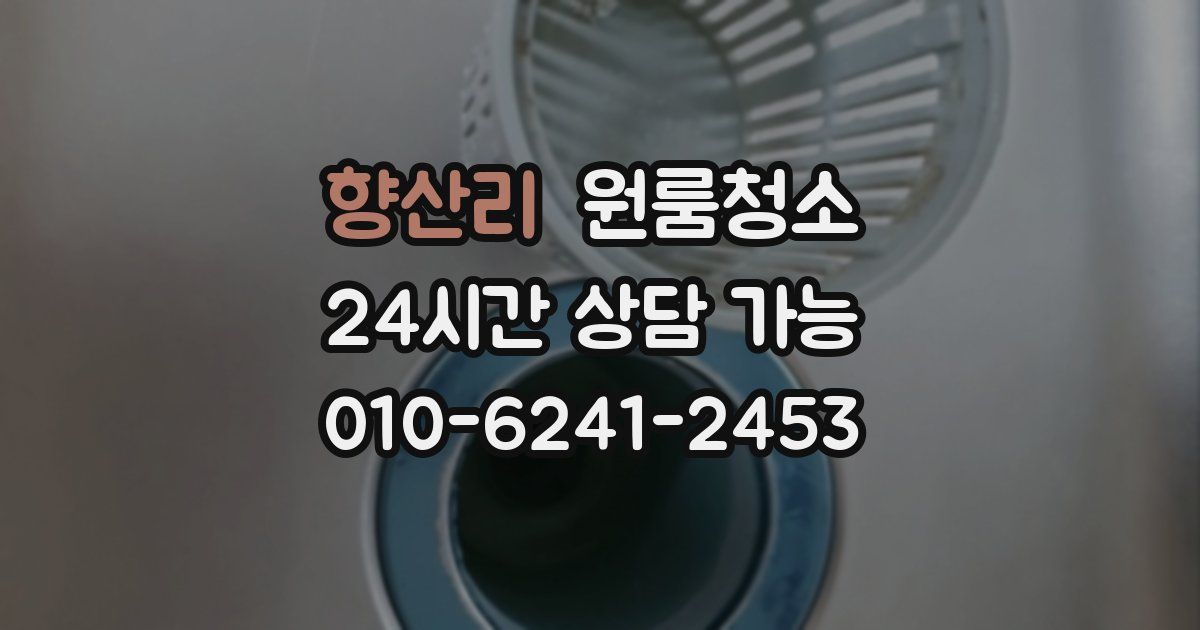 향산리 입주청소