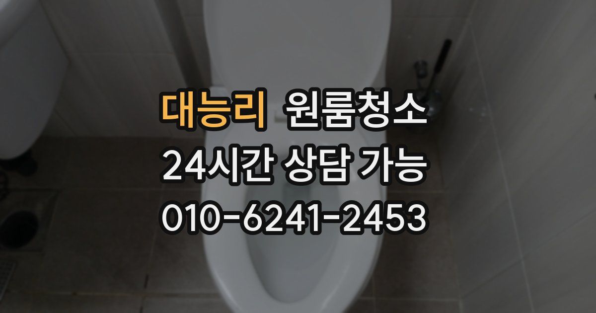 대능리 입주청소