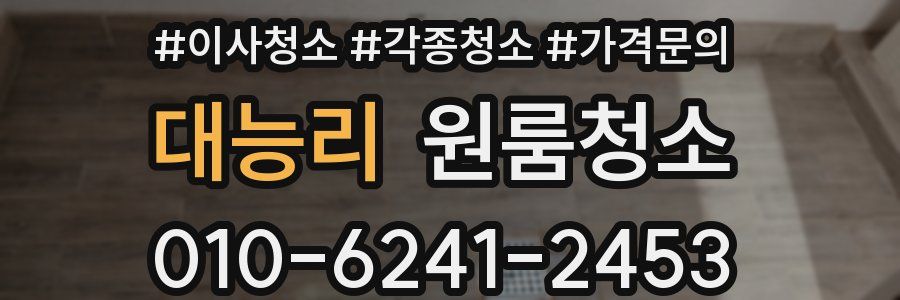 대능리 이사청소