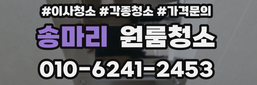 송마리 이사청소