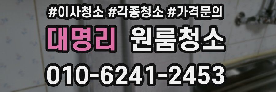 대명리 이사청소