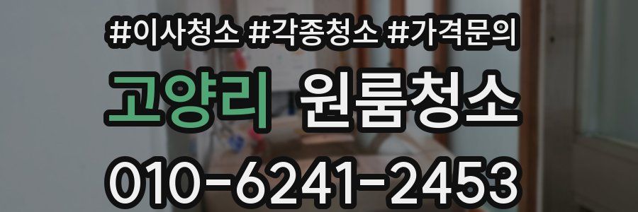 고양리 이사청소