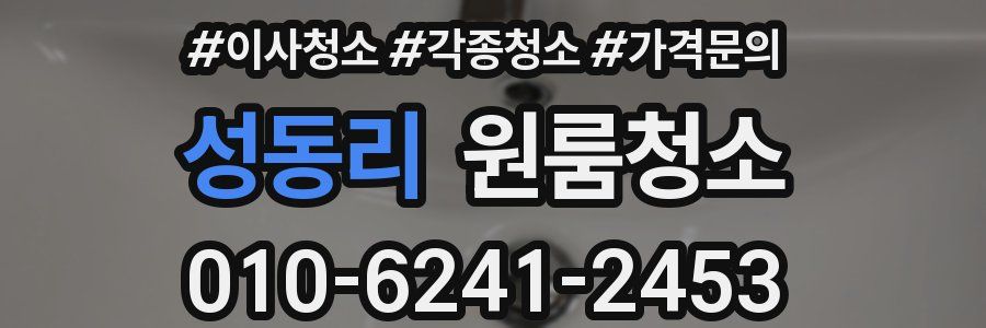 성동리 이사청소