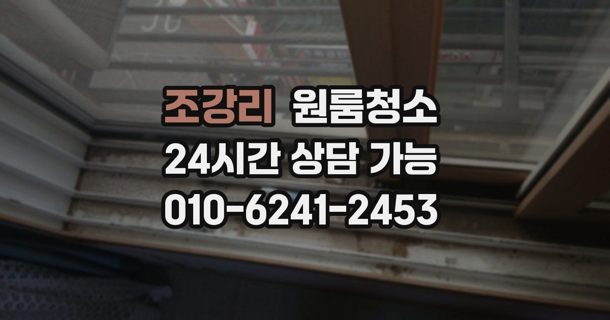 조강리 입주청소