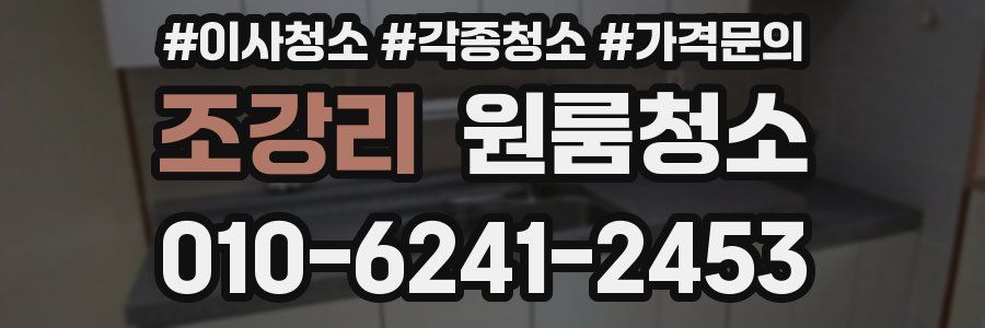 조강리 이사청소