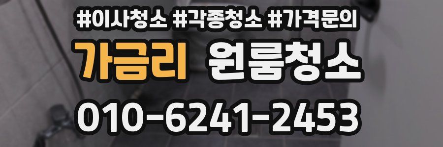 가금리 이사청소