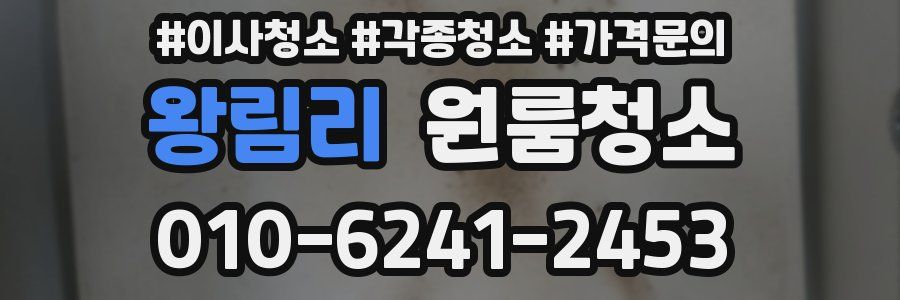 왕림리 이사청소