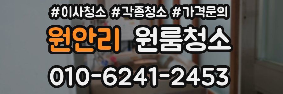 원안리 이사청소