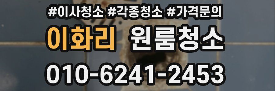 이화리 이사청소