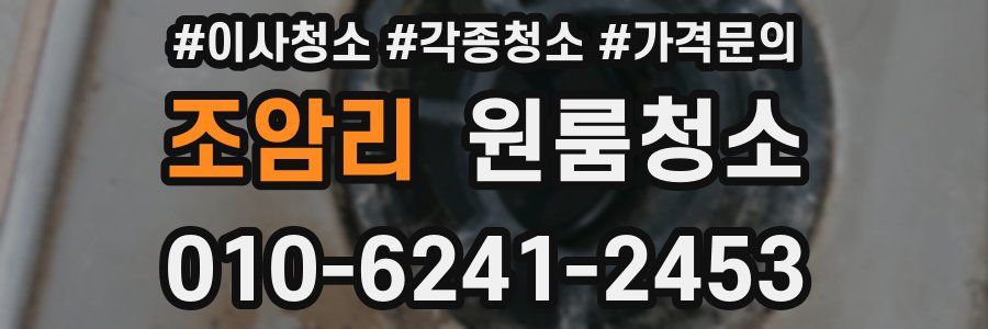 조암리 이사청소