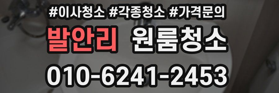 발안리 이사청소