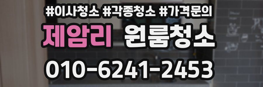 제암리 이사청소