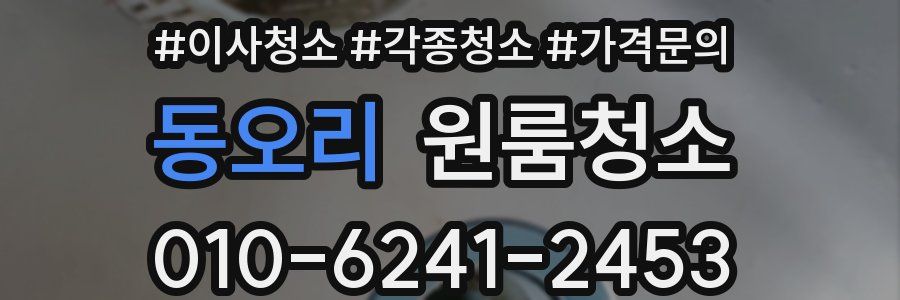 동오리 이사청소