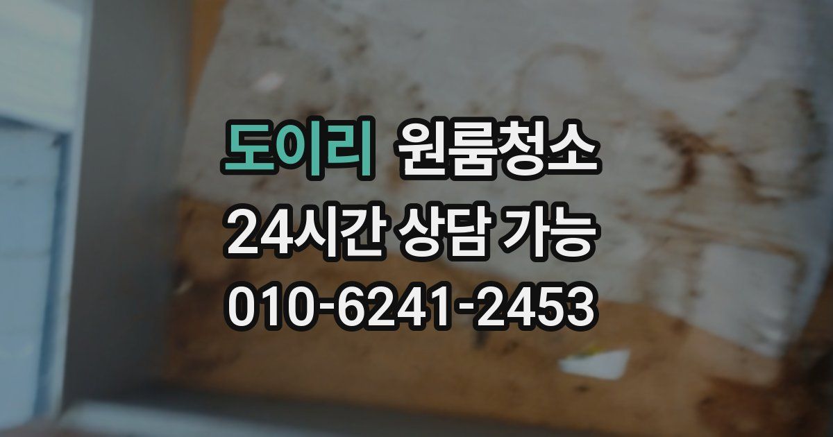 도이리 입주청소
