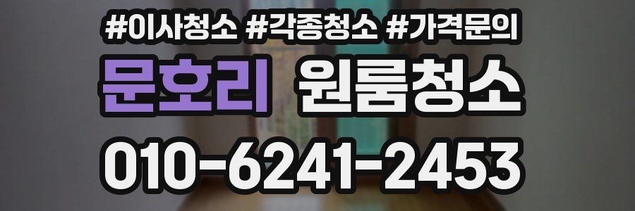 문호리 이사청소