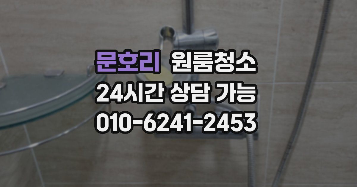 문호리 입주청소