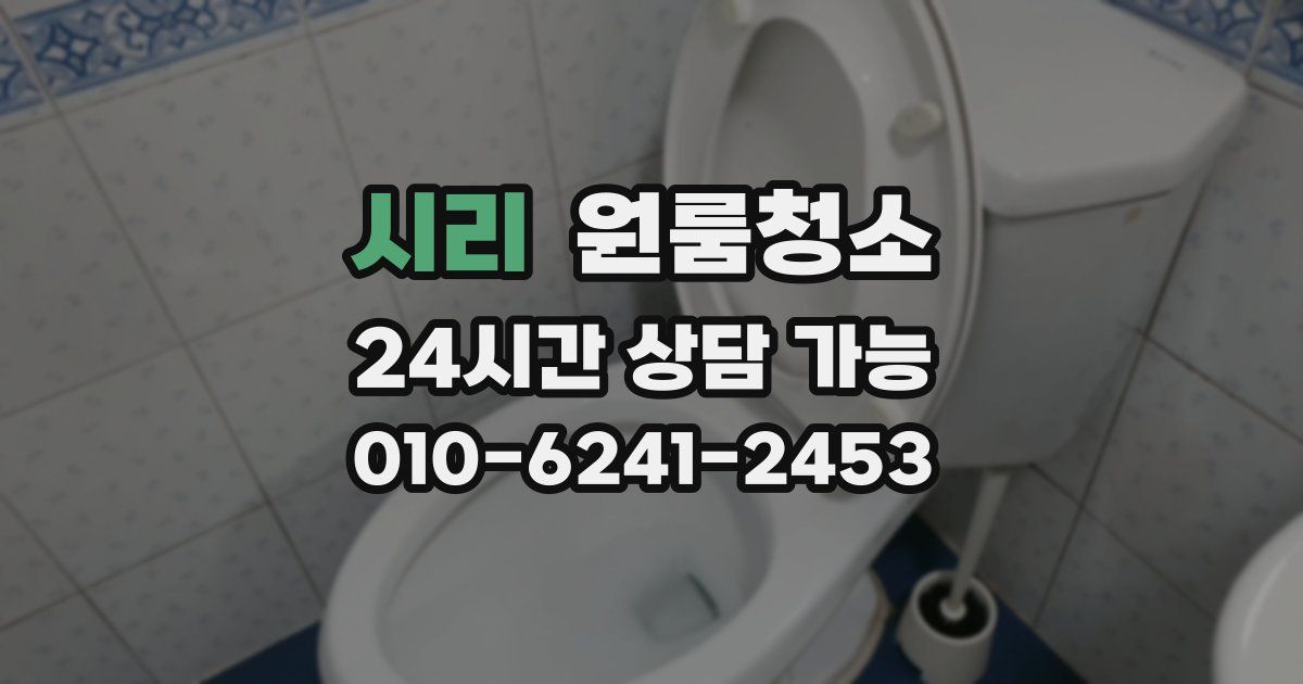 시리 입주청소