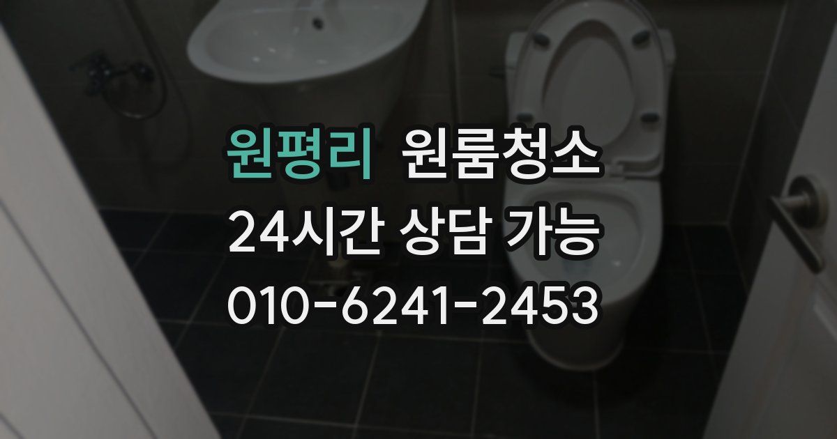 원평리 입주청소