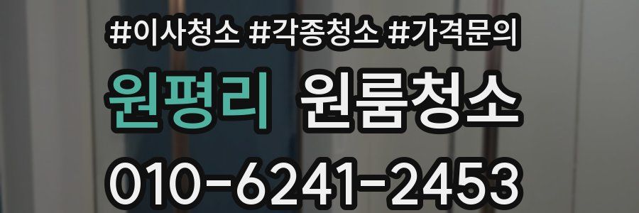 원평리 이사청소