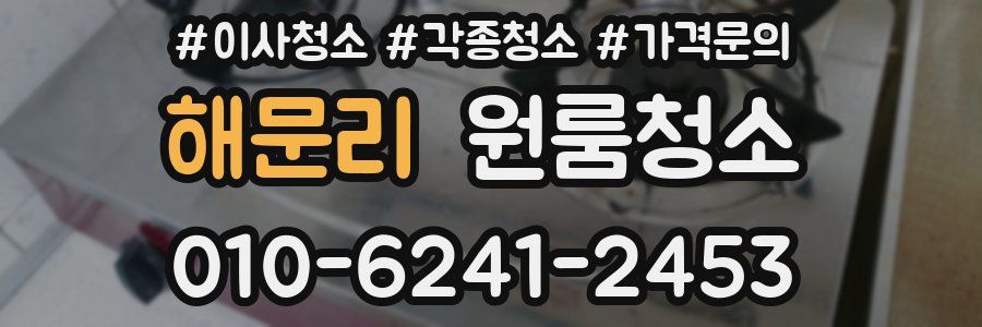 해문리 이사청소