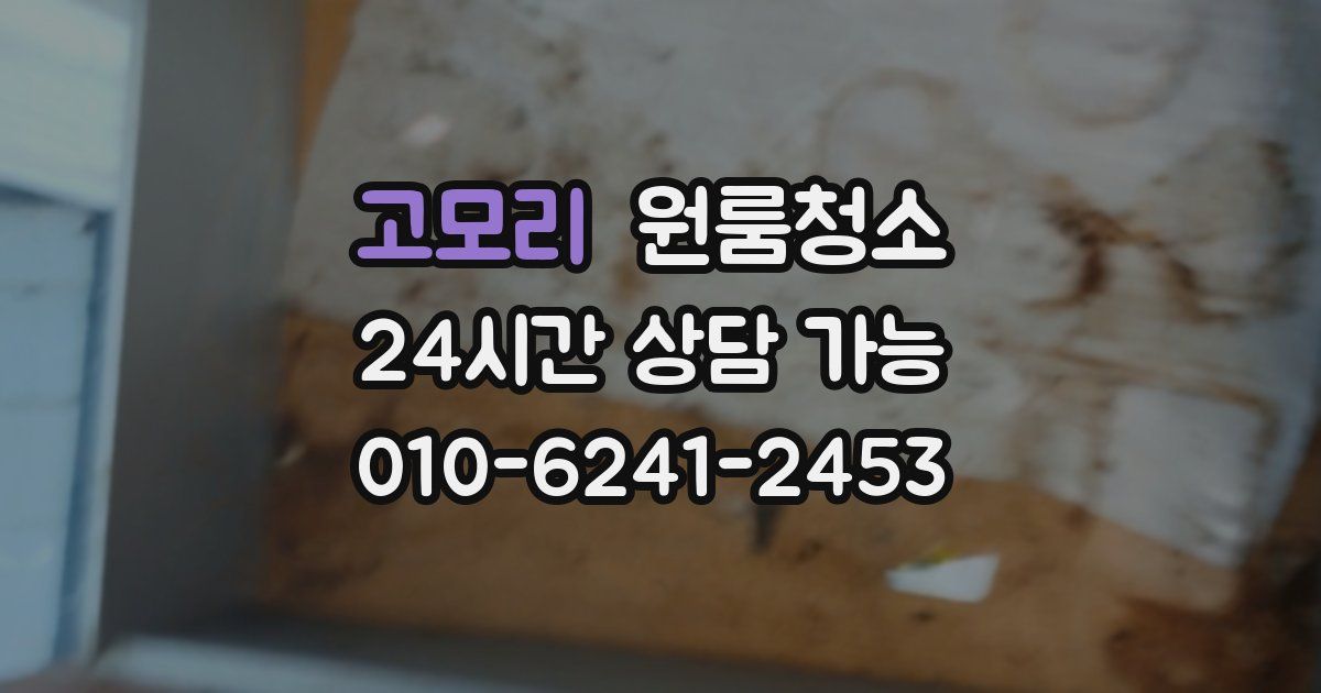 고모리 입주청소