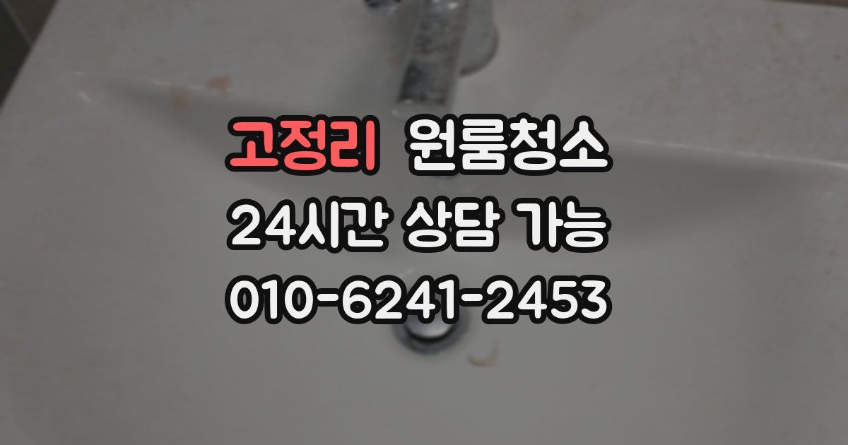 고정리 입주청소