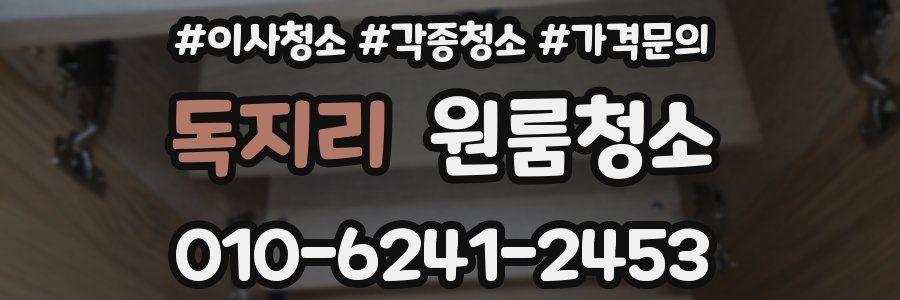 독지리 이사청소