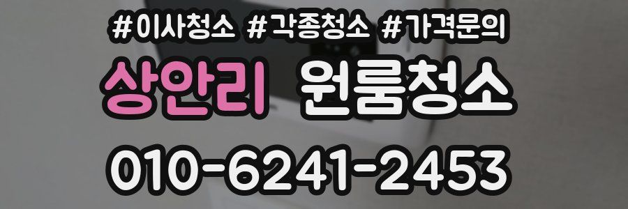 상안리 이사청소