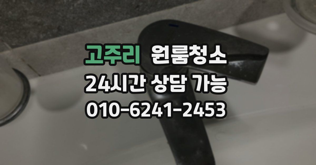 고주리 입주청소