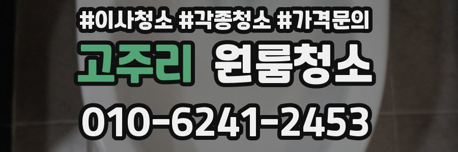 고주리 이사청소