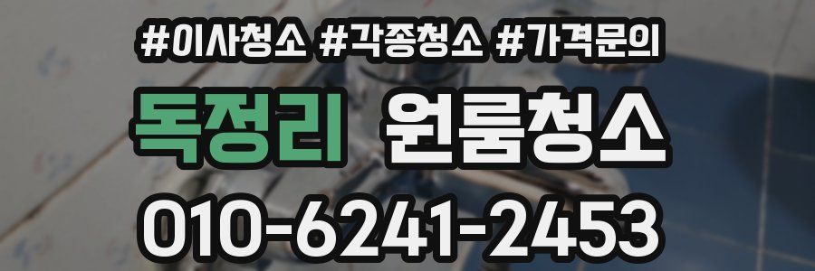 독정리 이사청소