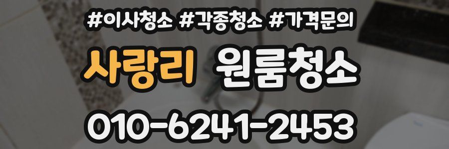 사랑리 이사청소