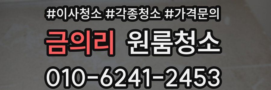 금의리 이사청소