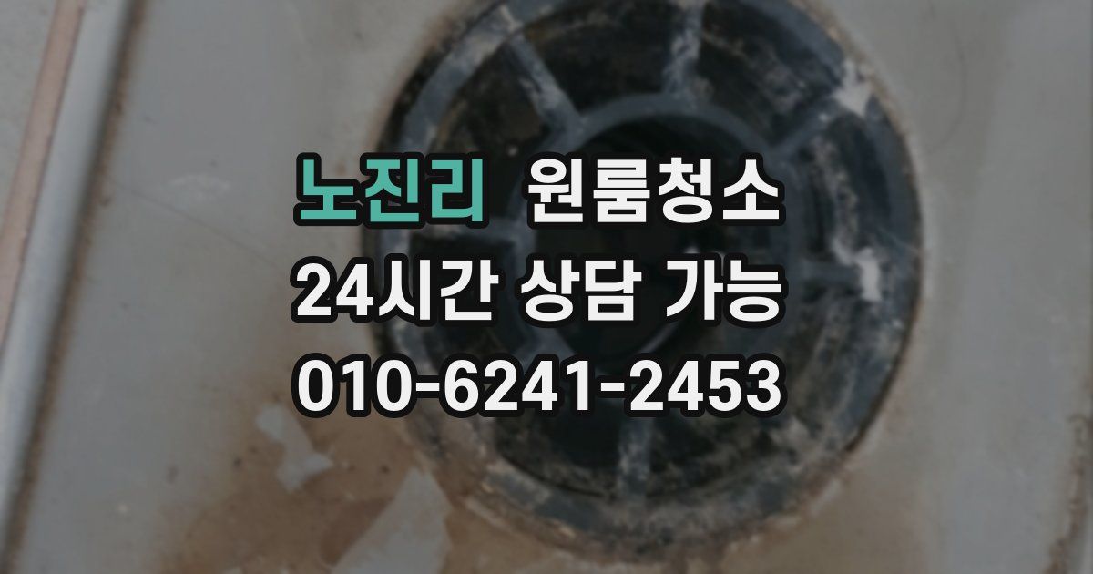 노진리 입주청소