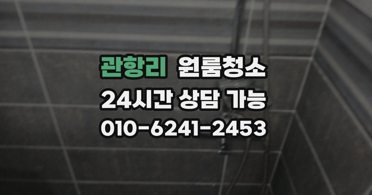 관항리 입주청소