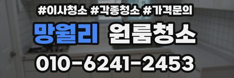 망월리 이사청소