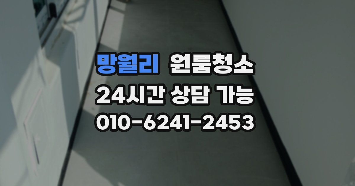 망월리 입주청소