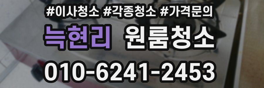 늑현리 이사청소