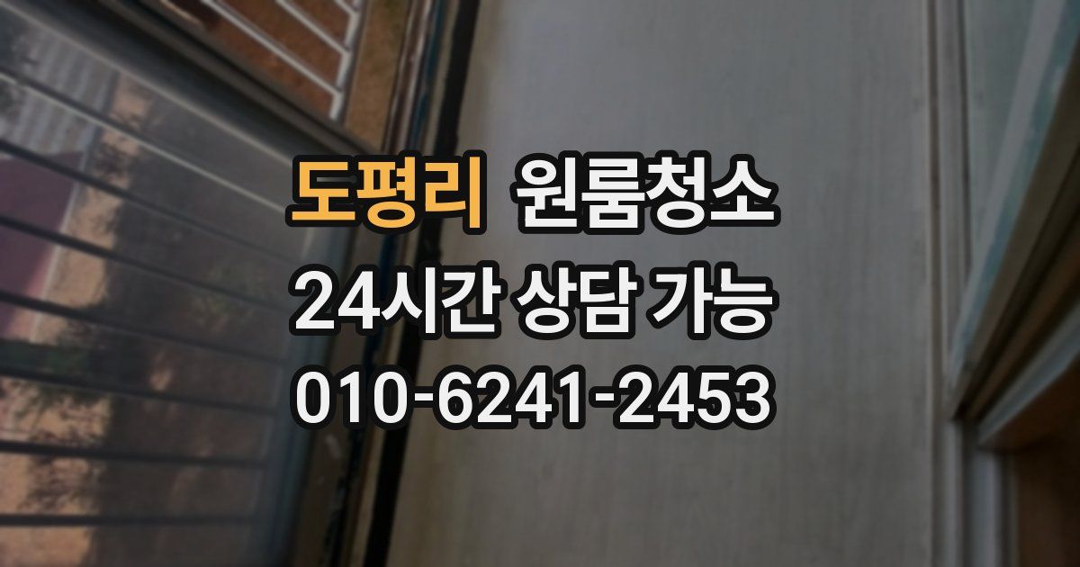 도평리 입주청소