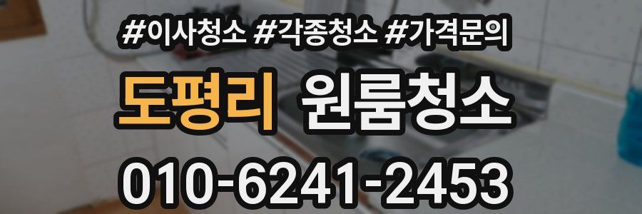 도평리 이사청소