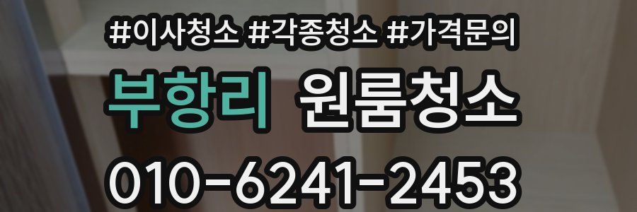 부항리 이사청소