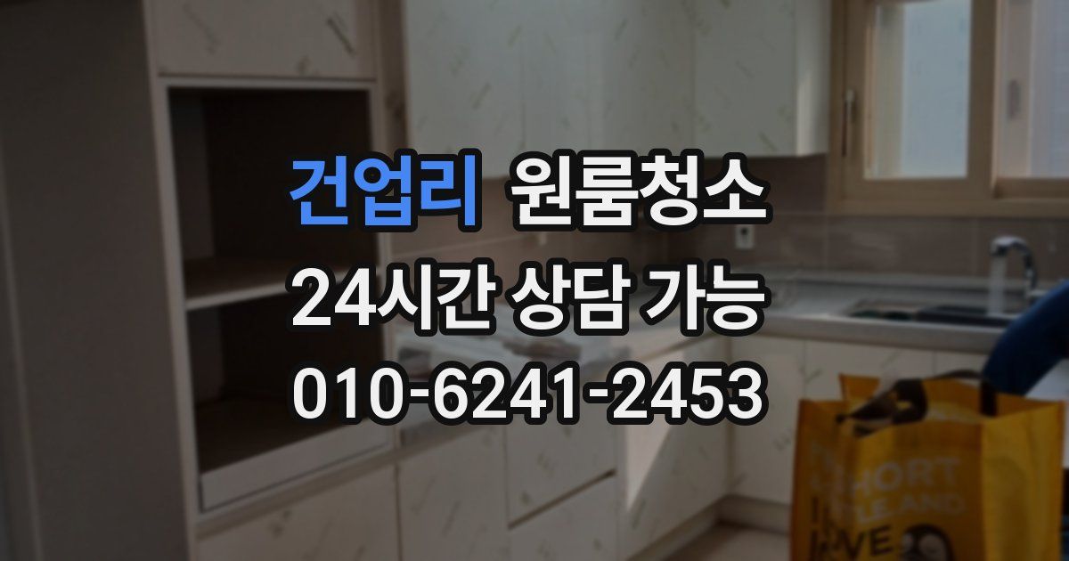 건업리 입주청소