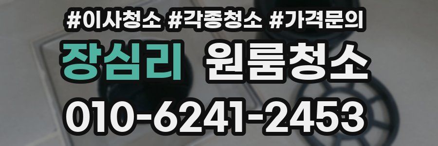 장심리 이사청소