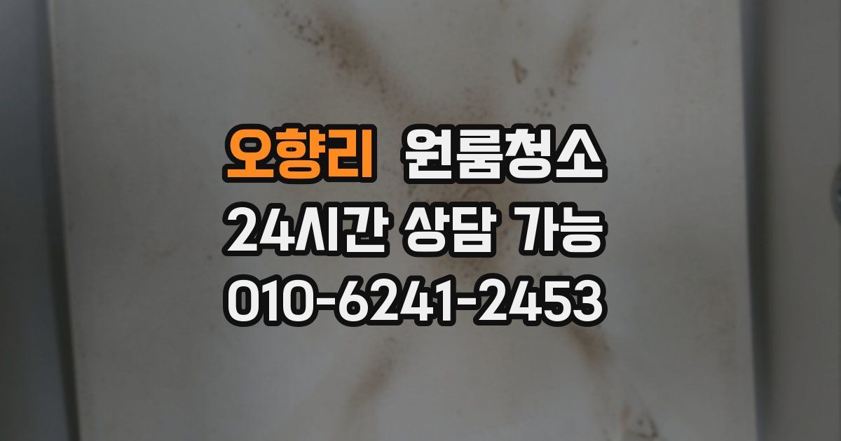 오향리 입주청소
