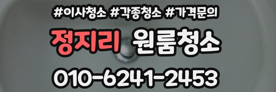 정지리 이사청소