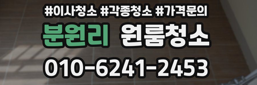 분원리 이사청소