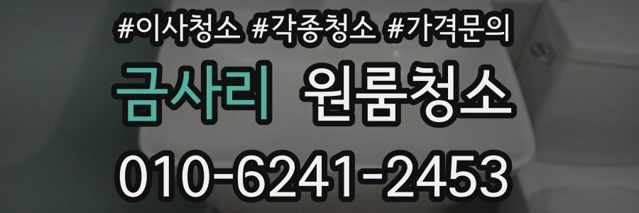 금사리 이사청소