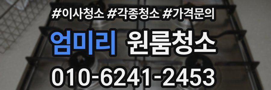 엄미리 이사청소