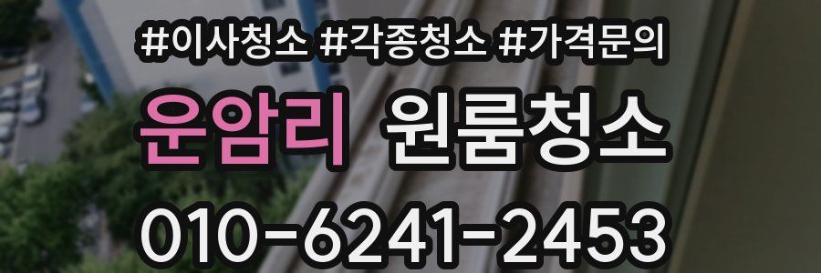 운암리 이사청소