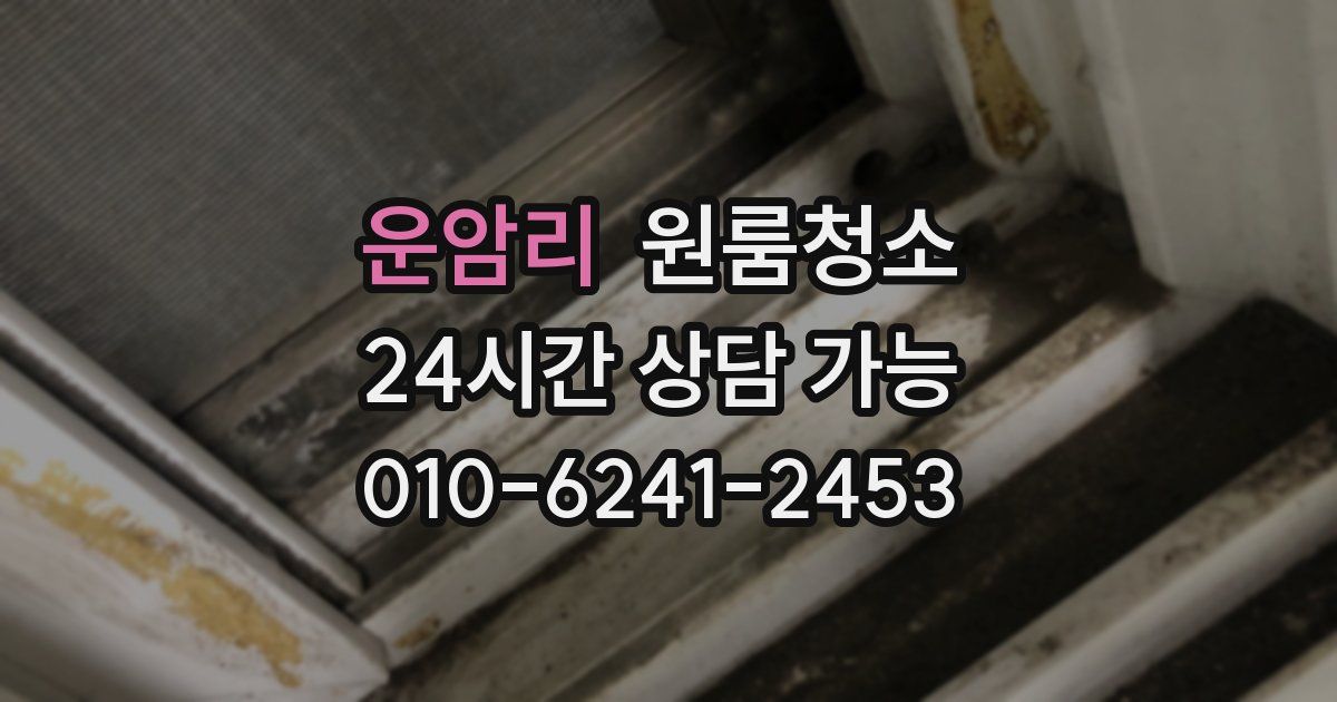 운암리 입주청소